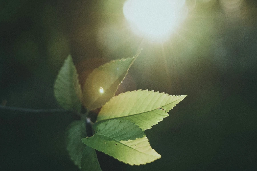 The Wellness Trends We’re Watching This Year | 2026 Wellness Guide